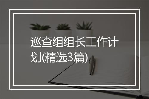 巡查组组长工作计划(精选3篇)