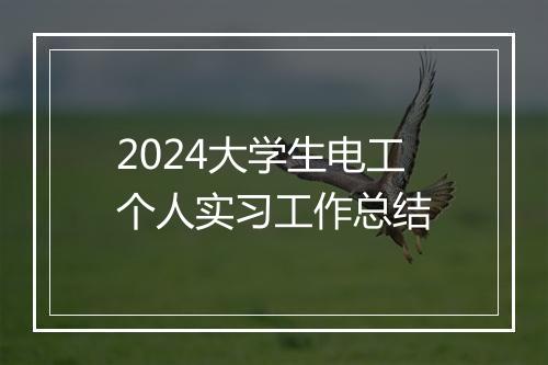 2024大学生电工个人实习工作总结