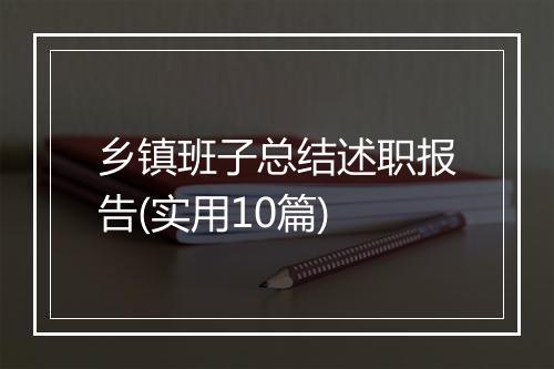 乡镇班子总结述职报告(实用10篇)
