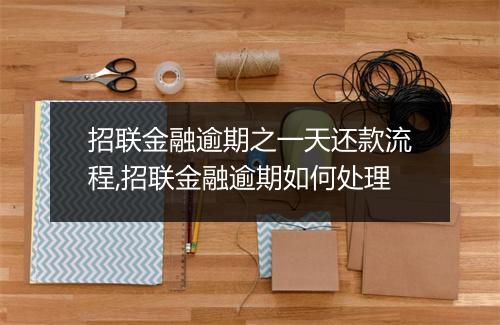 招联金融逾期之一天还款流程,招联金融逾期如何处理