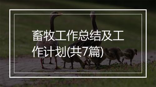 畜牧工作总结及工作计划(共7篇)