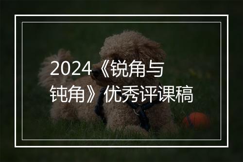 2024《锐角与钝角》优秀评课稿