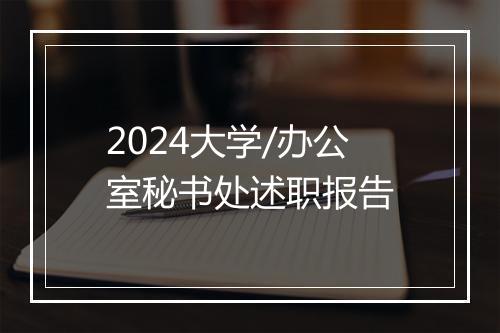 2024大学/办公室秘书处述职报告