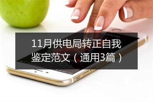 11月供电局转正自我鉴定范文（通用3篇）