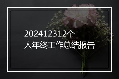 202412312个人年终工作总结报告