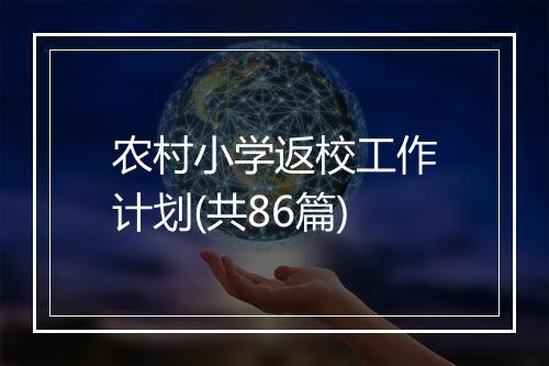 农村小学返校工作计划(共86篇)