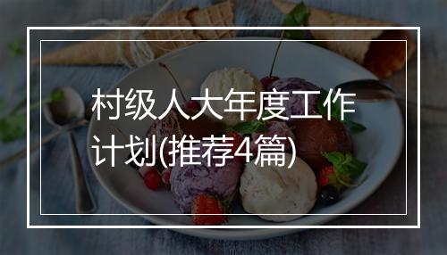 村级人大年度工作计划(推荐4篇)