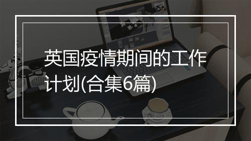 英国疫情期间的工作计划(合集6篇)