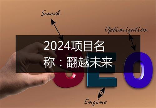 2024项目名称：翻越未来