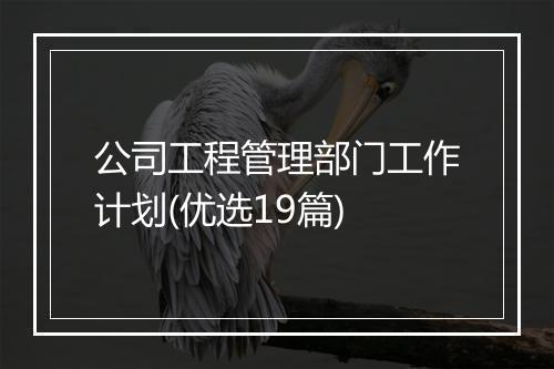 公司工程管理部门工作计划(优选19篇)