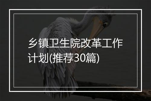 乡镇卫生院改革工作计划(推荐30篇)