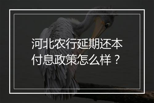 河北农行延期还本付息政策怎么样？