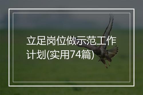 立足岗位做示范工作计划(实用74篇)