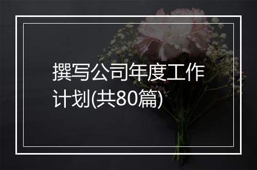 撰写公司年度工作计划(共80篇)