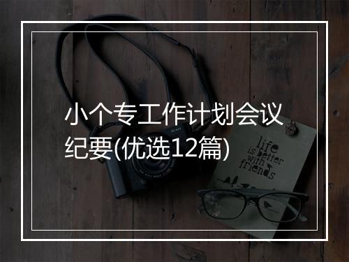 小个专工作计划会议纪要(优选12篇)
