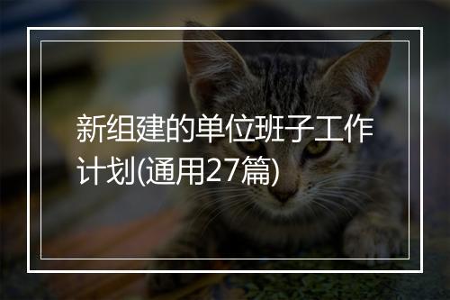 新组建的单位班子工作计划(通用27篇)