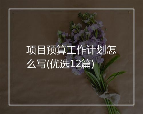 项目预算工作计划怎么写(优选12篇)