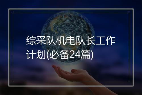 综采队机电队长工作计划(必备24篇)