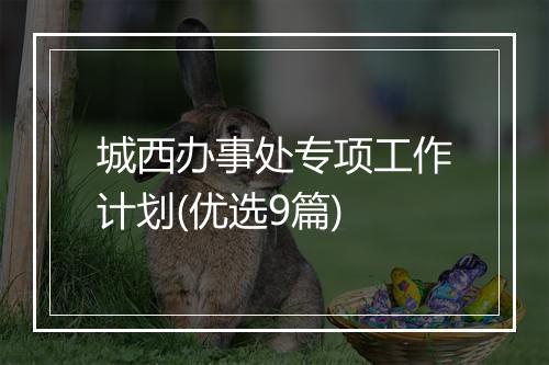 城西办事处专项工作计划(优选9篇)