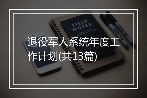 退役军人系统年度工作计划(共13篇)