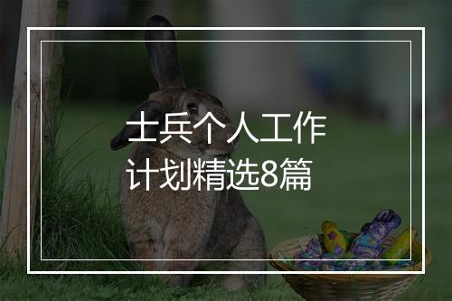 士兵个人工作计划精选8篇