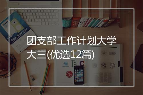 团支部工作计划大学大三(优选12篇)