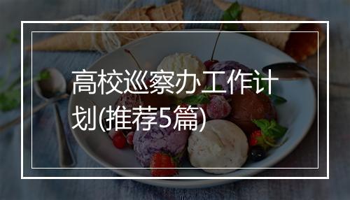 高校巡察办工作计划(推荐5篇)