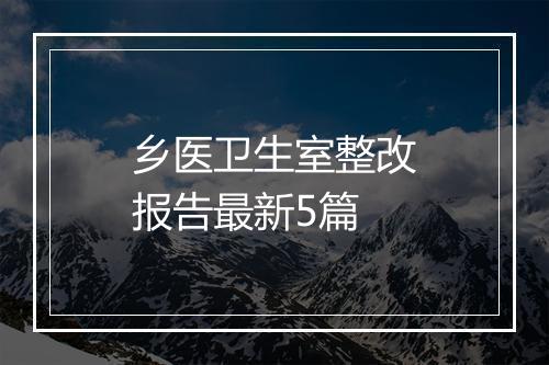 乡医卫生室整改报告最新5篇