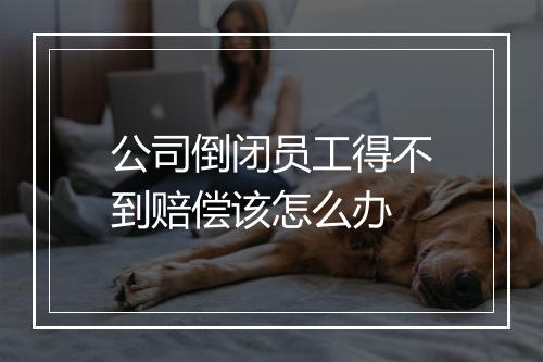 公司倒闭员工得不到赔偿该怎么办