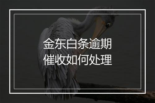 金东白条逾期催收如何处理