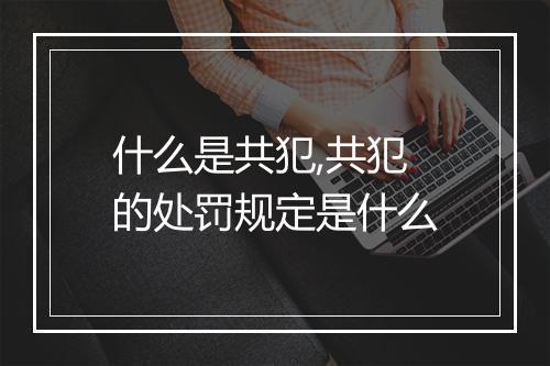 什么是共犯,共犯的处罚规定是什么