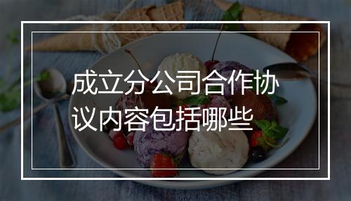 成立分公司合作协议内容包括哪些