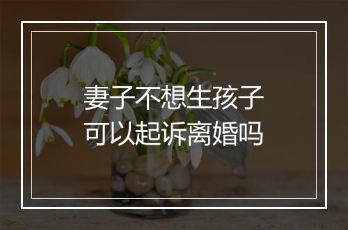 妻子不想生孩子可以起诉离婚吗