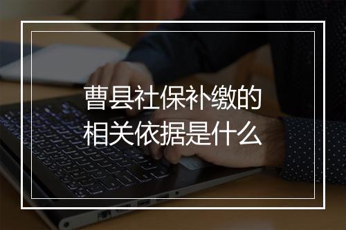 曹县社保补缴的相关依据是什么