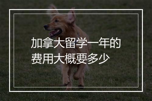 加拿大留学一年的费用大概要多少