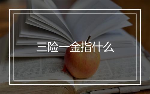 三险一金指什么