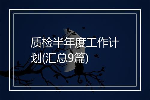 质检半年度工作计划(汇总9篇)