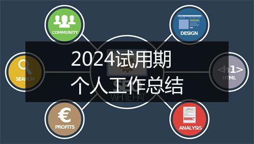 2024试用期个人工作总结