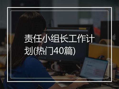 责任小组长工作计划(热门40篇)