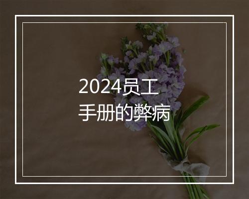 2024员工手册的弊病