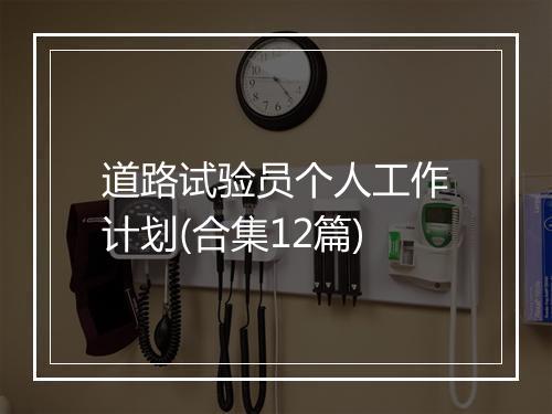 道路试验员个人工作计划(合集12篇)