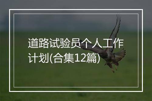 道路试验员个人工作计划(合集12篇)