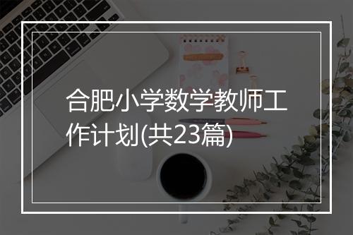 合肥小学数学教师工作计划(共23篇)