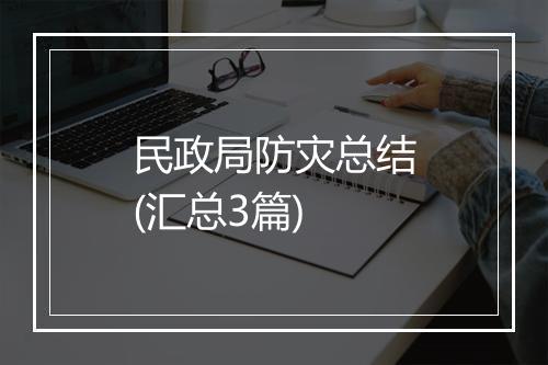 民政局防灾总结(汇总3篇)