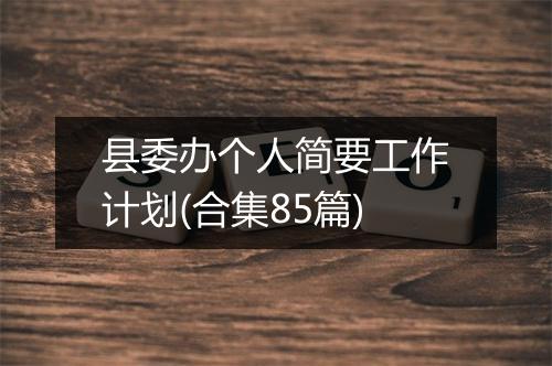 县委办个人简要工作计划(合集85篇)