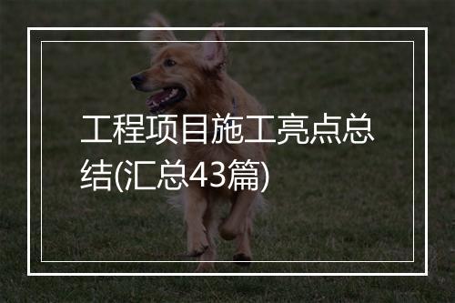 工程项目施工亮点总结(汇总43篇)