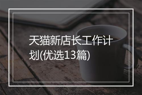天猫新店长工作计划(优选13篇)