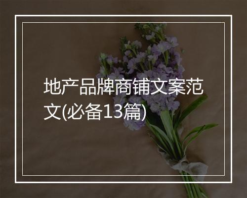 地产品牌商铺文案范文(必备13篇)