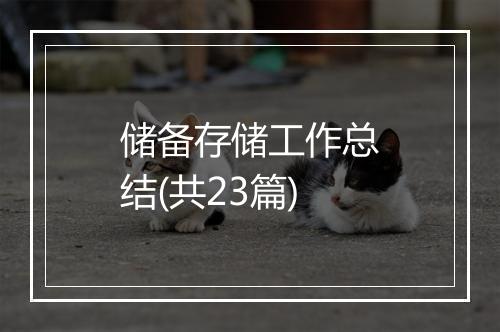 储备存储工作总结(共23篇)