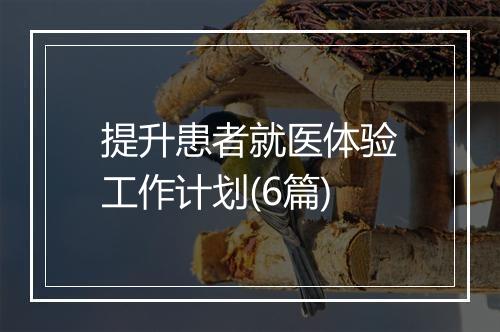 提升患者就医体验工作计划(6篇)